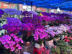 -东川新街市(东川市场店)