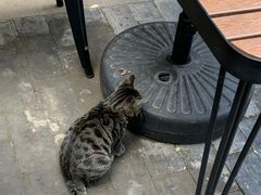 -老北京风情街