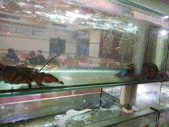 -金生美食(贵州路店)
