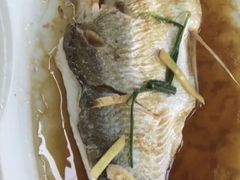 清蒸扁鱼-丫丫蟹庄·苏式园林农家乐·阳澄湖大闸蟹(阳澄湖莲花岛店)