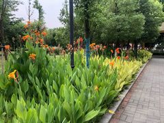 -汉江湾体育公园