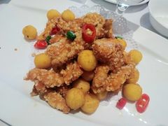 -沪碟·精菜坊(闵行店)