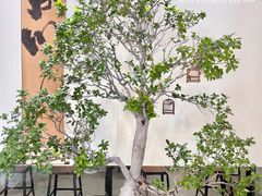 -成川茶店·潮汕工夫浓茶(万象店)