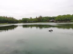 -新洲生态园