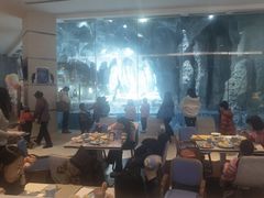 -帝企鹅自助餐厅•儿童岛•真企鹅(长隆企鹅酒店)