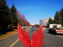 -长春世界雕塑园冰雪艺术天地