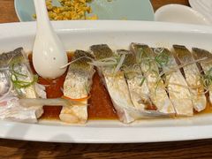 清蒸海鲜汁翘嘴大白鱼-花舍·新派粤菜·西餐·下午茶(亚运村·鸟巢店)