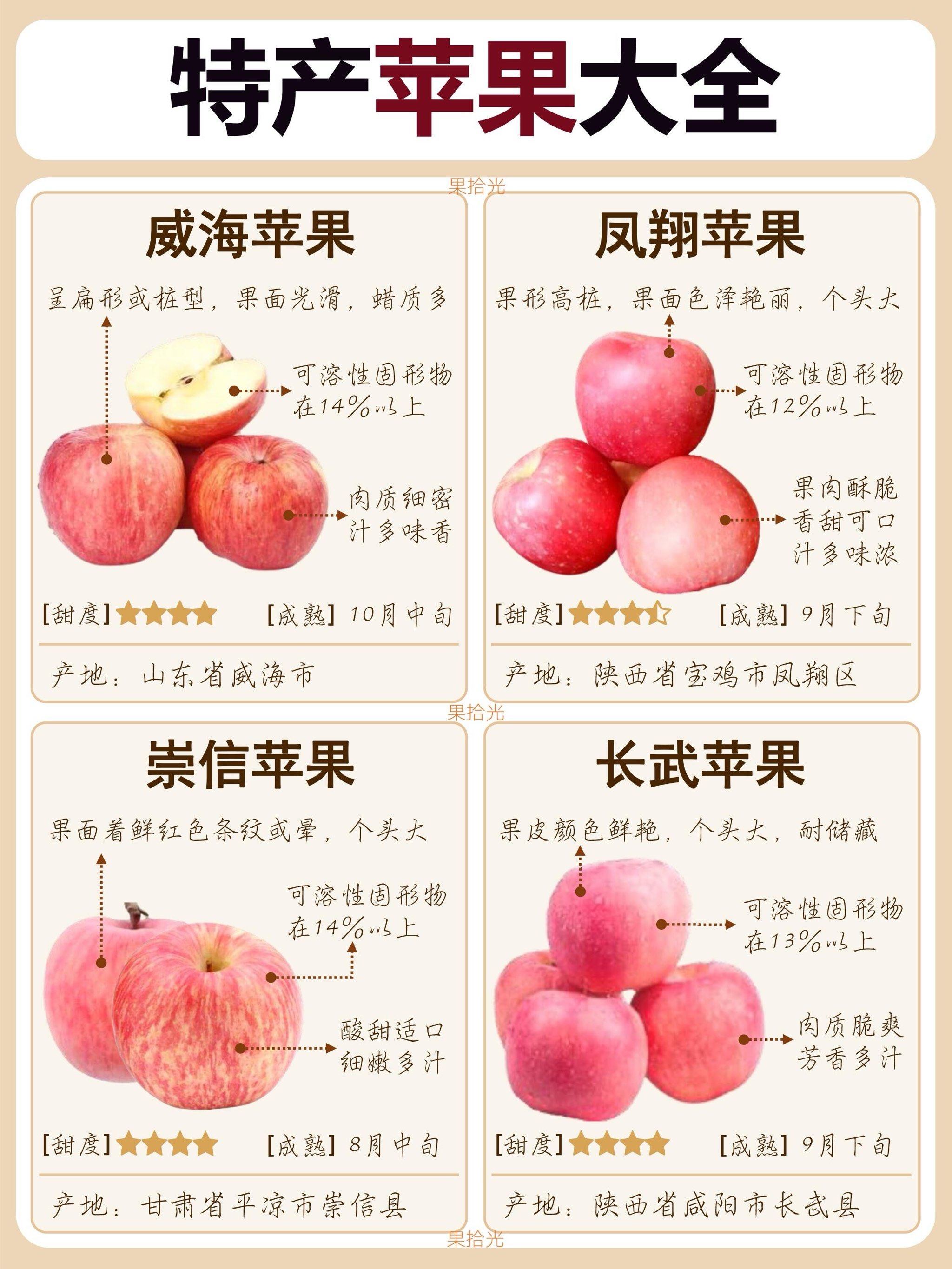 苹果批发产地哪里最好 苹果批发产地哪里最好