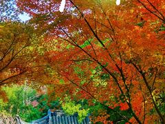 -汇龙潭