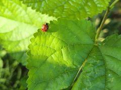 -南京金牛湖风景区