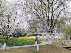 -国际非物质文化遗产博览园