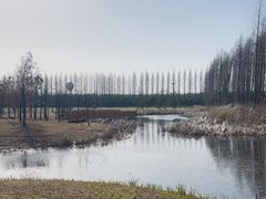 -黄海国家森林公园