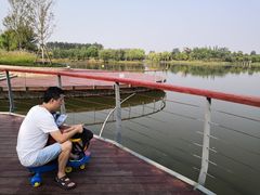 -东郊湿地公园