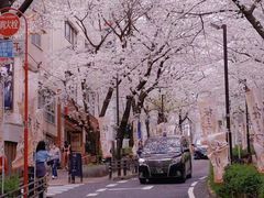 -涩谷区