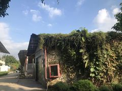 -光明农场大观园