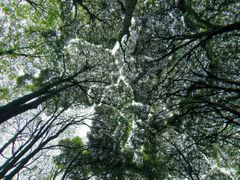 -贵州省植物园