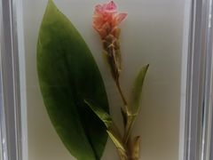 -广东中医药博物馆