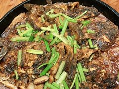 -老板恋上鱼(振华商厦店)