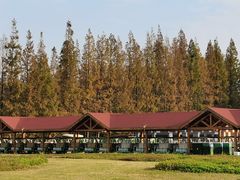 -黄海国家森林公园