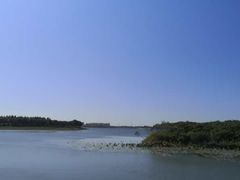 -丁香湖公园