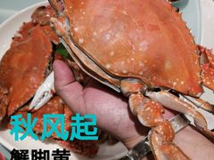 -鲜螺湾(鹏欣丽都店)