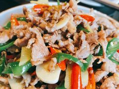 -志晖园圆子鸡·辣子鸡(阳光店)