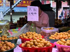 -淡村菜市场