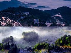 -紫鹊界梯田景区