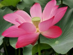 -上海市保健医疗中心