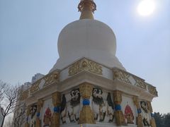 -护国法轮寺
