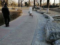 -石榴庄公园