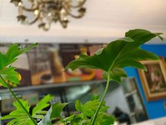 -Me&Joe意大利面·珍珠奶茶(鲁班路店)