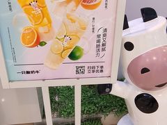 -一只酸奶牛(时代天街A馆店)