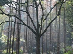 -忠山公园