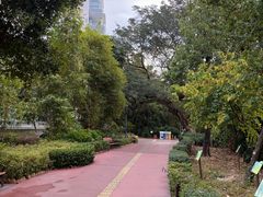 -九龙公园