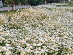 -汉长安城未央宫国家考古遗址公园