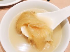 古法鸡煲翅-陶陶居海鲜酒家(新马路店)