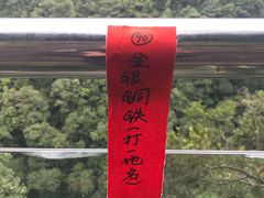 -九龙江国家森林公园