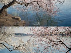 -颐和园