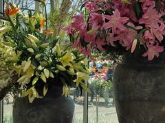 -上海鲜花港