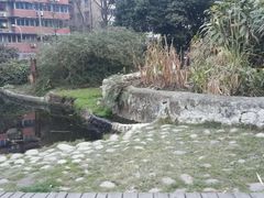 android_upload_pic-成都市活水公园