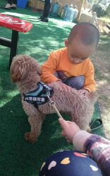 -萌宠亲子动物乐园(槐房万达店)