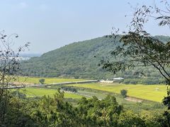 -风云岭森林公园