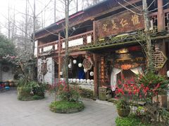 -青城甲(青城山店)