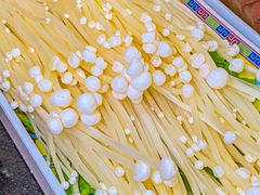 -芦月轩羊蝎子(北蜂窝店)