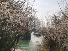 -西溪国家湿地公园