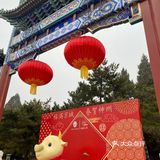 北京公园｜陶然亭冬韵