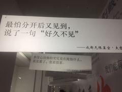 -成都失恋馆