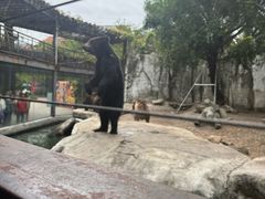-灵玲国际马戏城