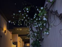 -蓉府金足印象(草市街22分店)